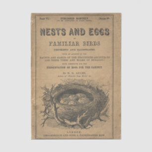 Nest und Eier von Familiären Vögeln Seidenpapier