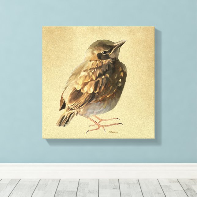 Nesthäkchen der Amsel in der Sonne Leinwanddruck (Insitu (Holzboden))