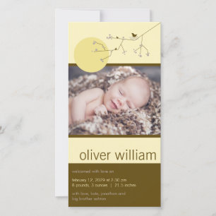 Nesting Bird Family Boys oder Girl Baby Foto Birth Ankündigung