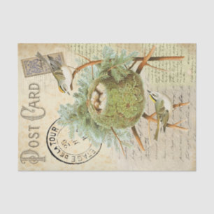 Nesting Bird Postcard Seidenpapier