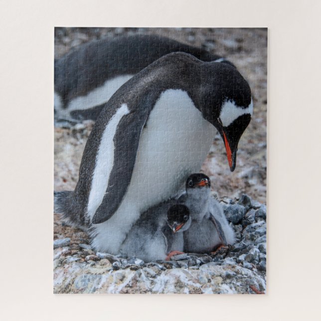 Nesting Penguin and Chicks On Ice Puzzle (Vertikal)