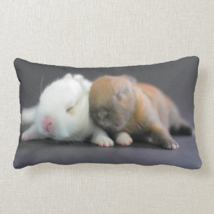 Netherland zwergartige Kaninchen Lendenkissen