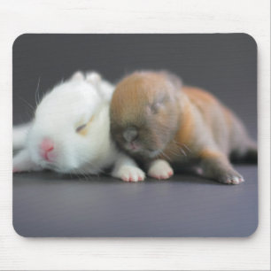 Netherland zwergartige Kaninchen Mousepad