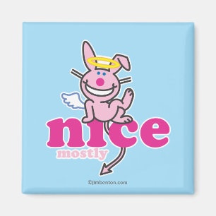 Nett, meistens magnet