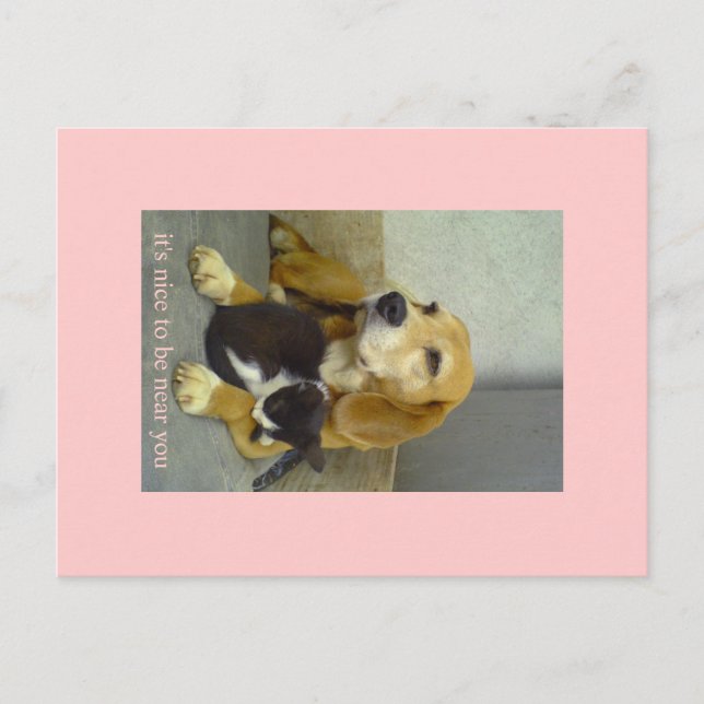 nett postkarte (Vorderseite)