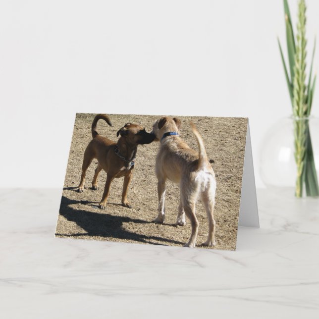 Nett, Sie zu treffen! Karte (Vorderseite)