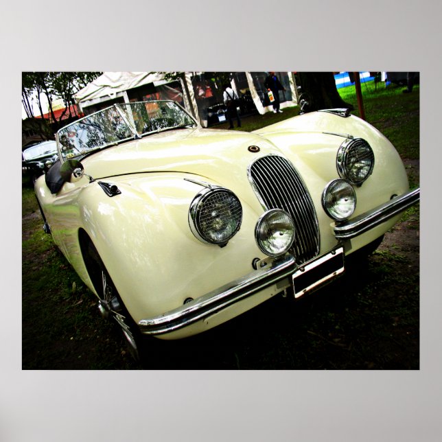Nette alte Zacke Poster (Vorne)