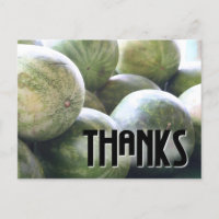 Nette Melonen! Postkarte!