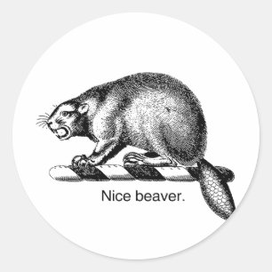 NETTER BIBER -.png Runder Aufkleber