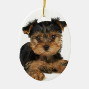 Nettes yorkie keramik ornament