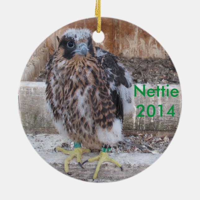 Nettie Verzierung 2014 Keramik Ornament (Hinten)