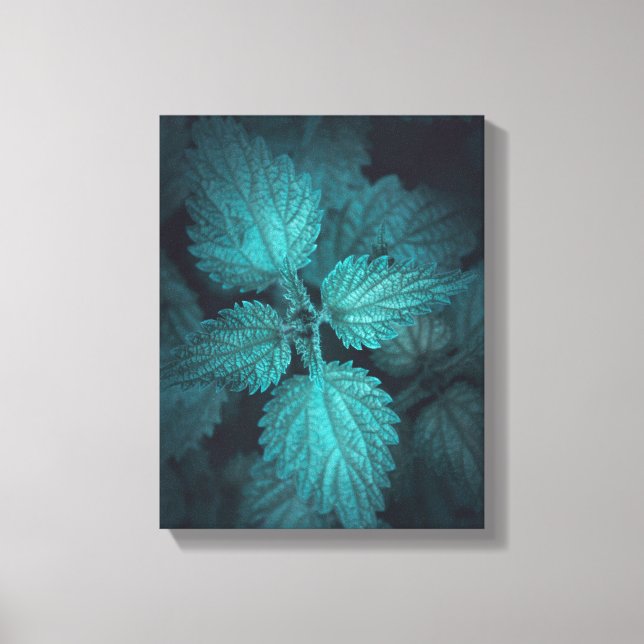 Nettle Nature Foto Leinwanddruck (Vorderseite)