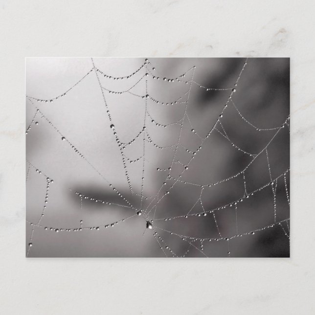 Netztropfen Postkarte (Vorderseite)