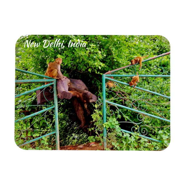 Neu-Delhi, Indien Magnet (Horizontal)