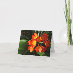 Neu-England Blumennotecard Sammlung Karte