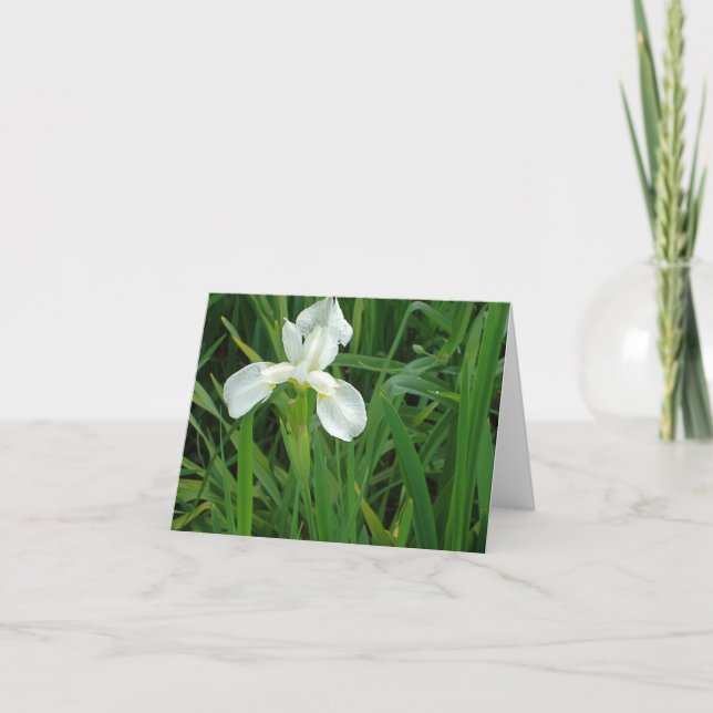 Neu-England weiße Iris Blumennotecard Sammlung Karte (Vorderseite)