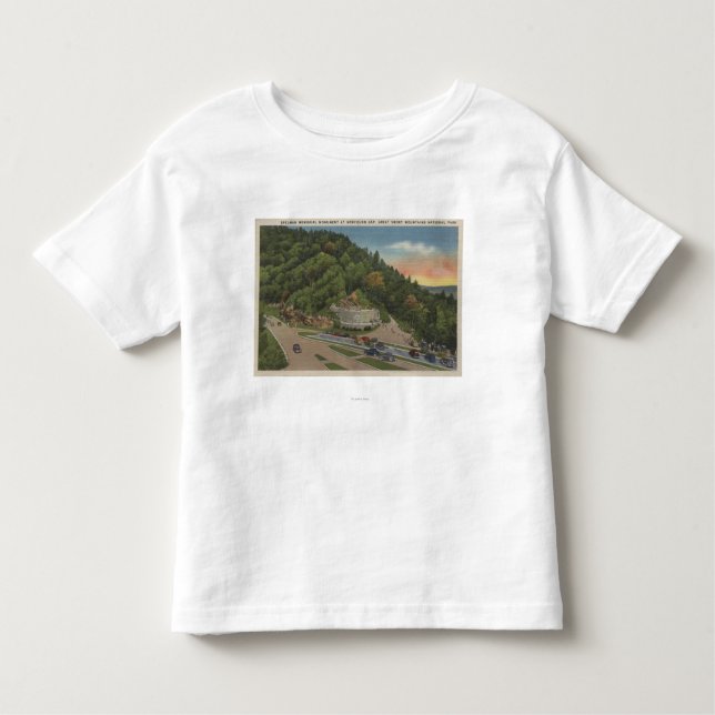 Neu entdecktes Gap, TN - Denkmal Laura Spelman Kleinkind T-shirt (Vorderseite)
