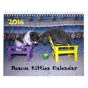 *****NEU für 2016!!! **** Kätzchen Kalender
