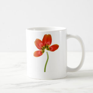 Neu geordnete rote Tulpe Tasse