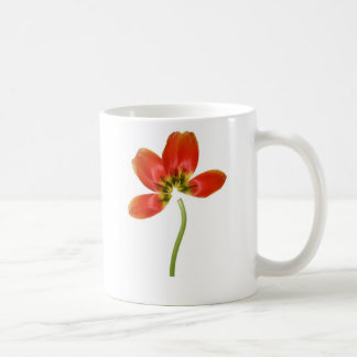 Neu geordnete rote Tulpe Tasse
