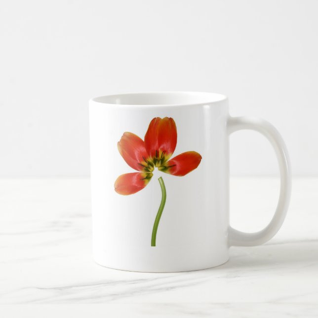 Neu geordnete rote Tulpe Tasse (Rechts)