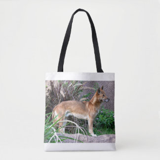 Neu-Guinea Gesang-HundeFoto-Tasche