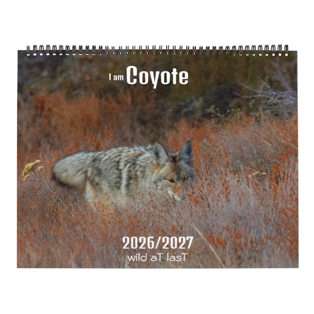 Neu! 'Ich bin Kojote' 2026/2027 Kalender (Titelbild)