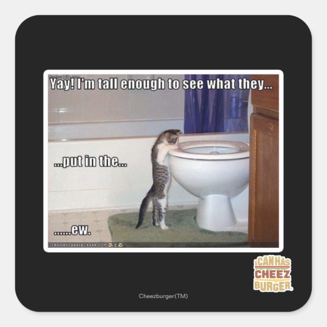 neu quadratischer aufkleber (Vorderseite)