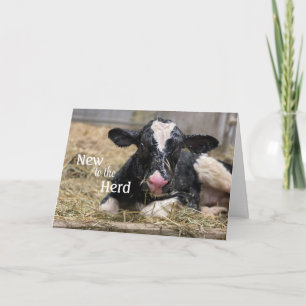 Neu zur Herd Baby Gratulations Card Einladung