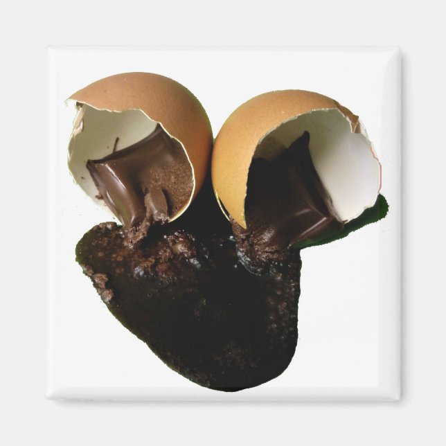 Neuartige Schokoladeneier Magnet (Vorne)