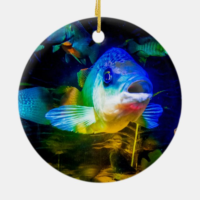 Neuartiger Fisch Keramik Ornament (Hinten)