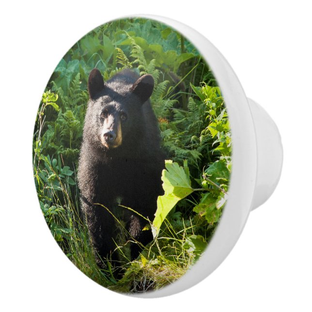 Neuartiger Schwarzbär Keramikknauf (Rechts)