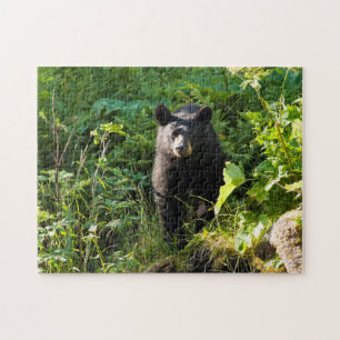 Neuartiger Schwarzbär Puzzle
