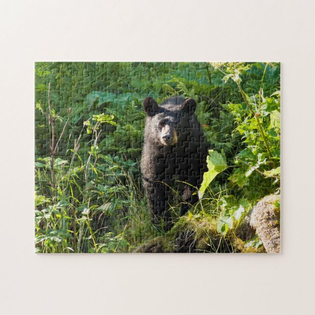 Neuartiger Schwarzbär Puzzle (Horizontal)