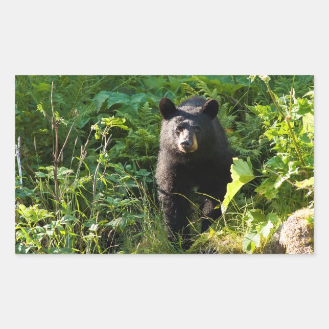 Neuartiger Schwarzbär Rechteckiger Aufkleber (Vorderseite)