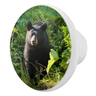 Neuartiger Schwarzer Bär Keramikknauf