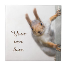 Neuartiges Eichhörnchen Fliese