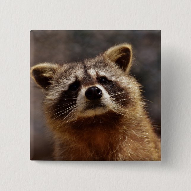 Neuartiges Raccoon-Foto Button (Vorderseite)