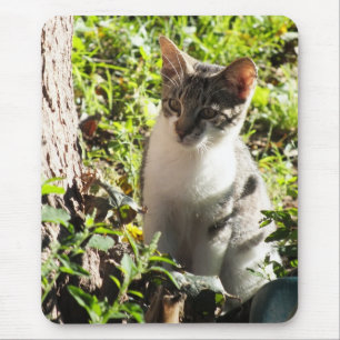Neuartiges Tiger und weißes Kitten-Mauspad Mousepad
