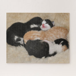 Neuborn Baby Kittens Puzzle