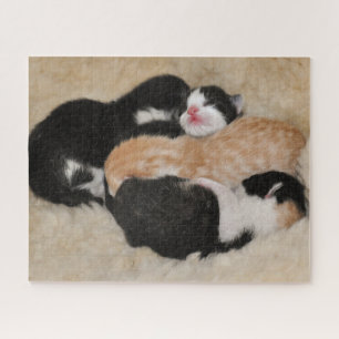 Neuborn Baby Kittens Puzzle