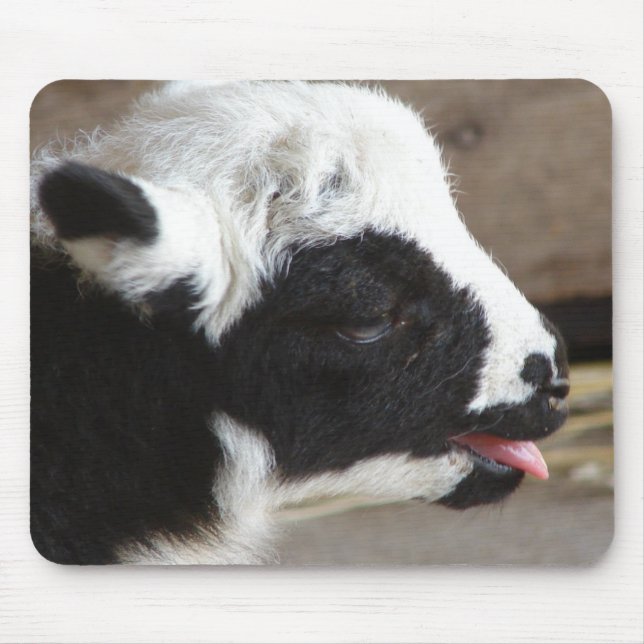 Neuborn Lamb Mousepad (Vorne)