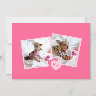 Neue Adoption für Haustiere in Girly Pink Ankündigung