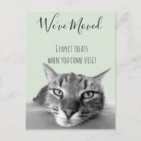 Neue Adressankündigung von Katze Funny