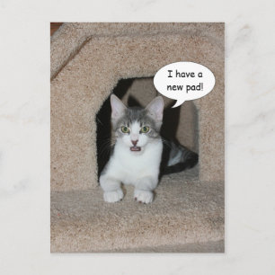 Neue Adresse Ankündigungspostkarte