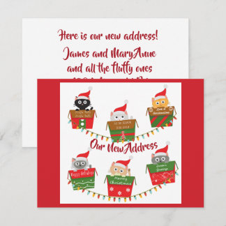 Neue Adresse mit Katzen in Weihnachtsboxen Ankündigung
