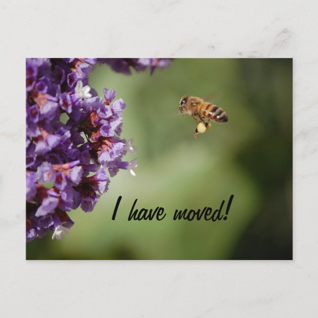 Neue Adresse Postkarte (Vorderseite)