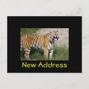 "Neue Adressen-" Tiger-Postkarte Ankündigungspostkarte