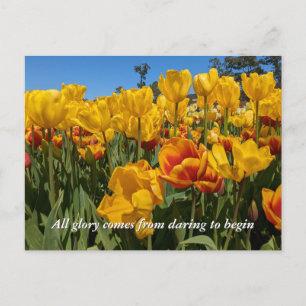 Neue Anfänge Frühlingsgelbe Tulpenblumen Postkarte