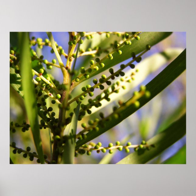 Neue Anfänge im Schatten-Poster Poster (Vorne)